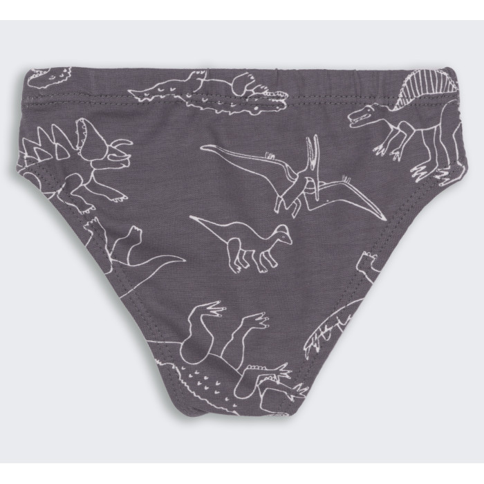 ТР 45 Труси Briefs супрем