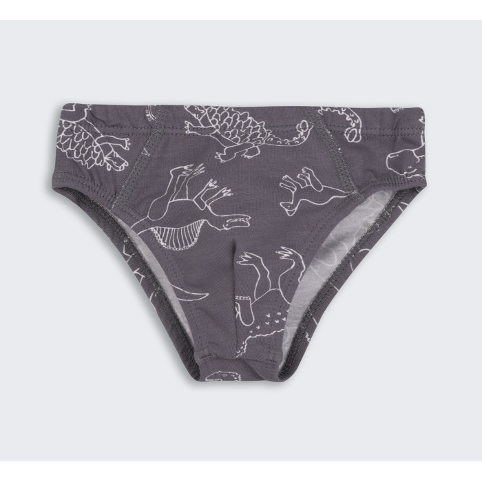 ТР 45 Труси Briefs супрем