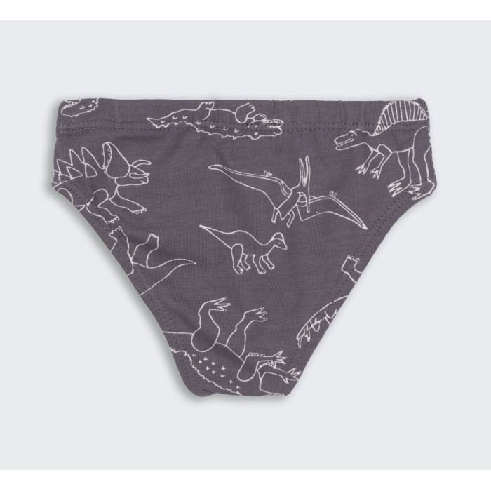 ТР 45 Труси Briefs супрем