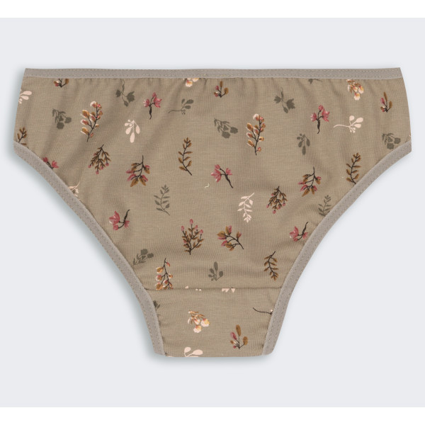 ТР 41 Труси Briefs супрем