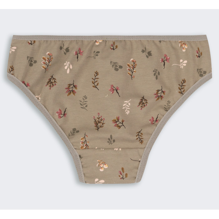 ТР 41 Труси Briefs супрем