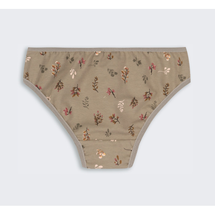 ТР 41 Труси Briefs супрем