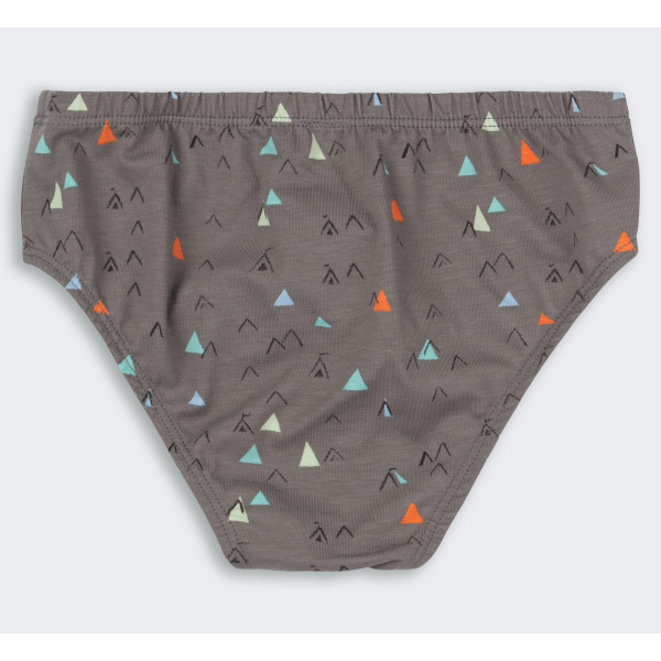 ТР 45 Труси Briefs супрем