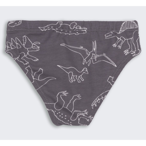 ТР 45 Труси Briefs супрем
