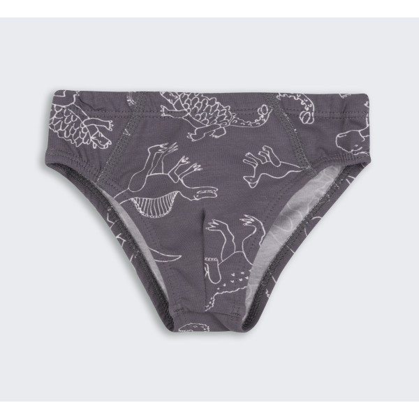 ТР 45 Труси Briefs супрем