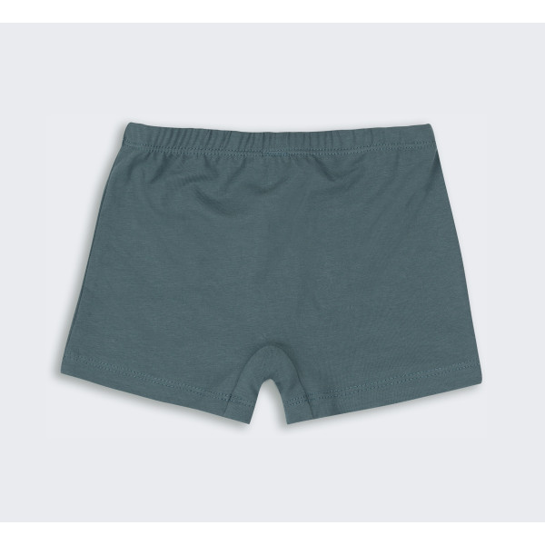 ТР 46 Труси Boxer  супрем
