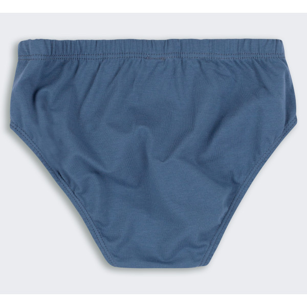 ТР 5 Труси Briefs супрем
